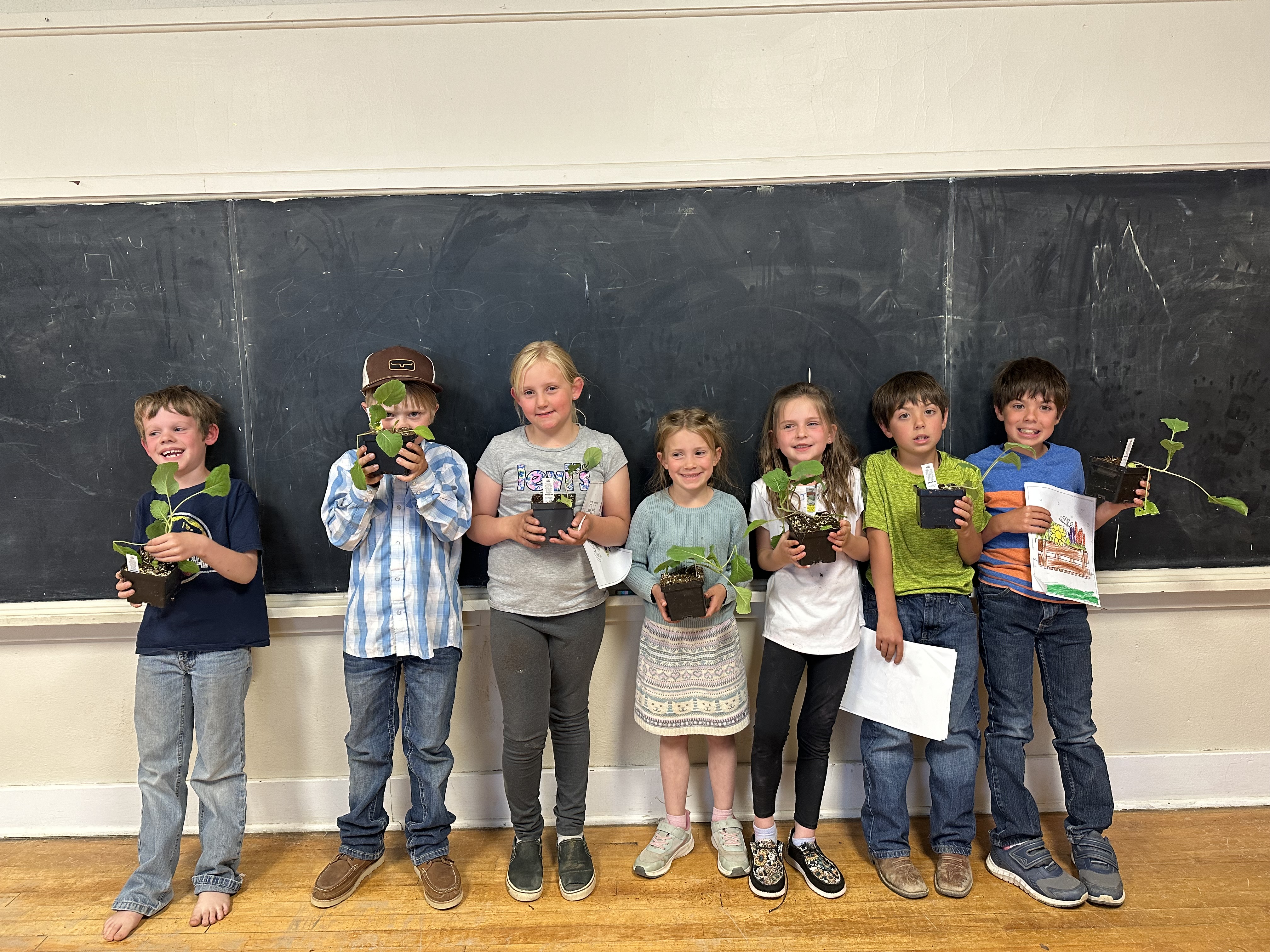 Garfield County 4-H Cloverbuds members are excited to grow some cabbage plants.